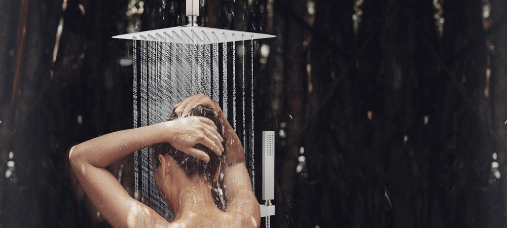 Ceiling Mount 2-Function Shower System